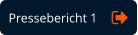 Pressebericht 1