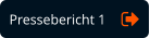 Pressebericht 1