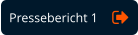 Pressebericht 1