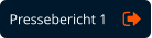 Pressebericht 1