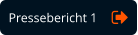 Pressebericht 1