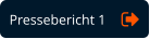 Pressebericht 1