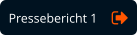 Pressebericht 1